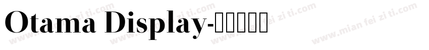 Otama Display字体转换